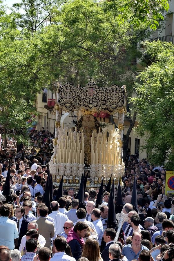 Las fotos de San Bernardo en el Miércoles Santo de la Semana Santa de Sevilla 2017