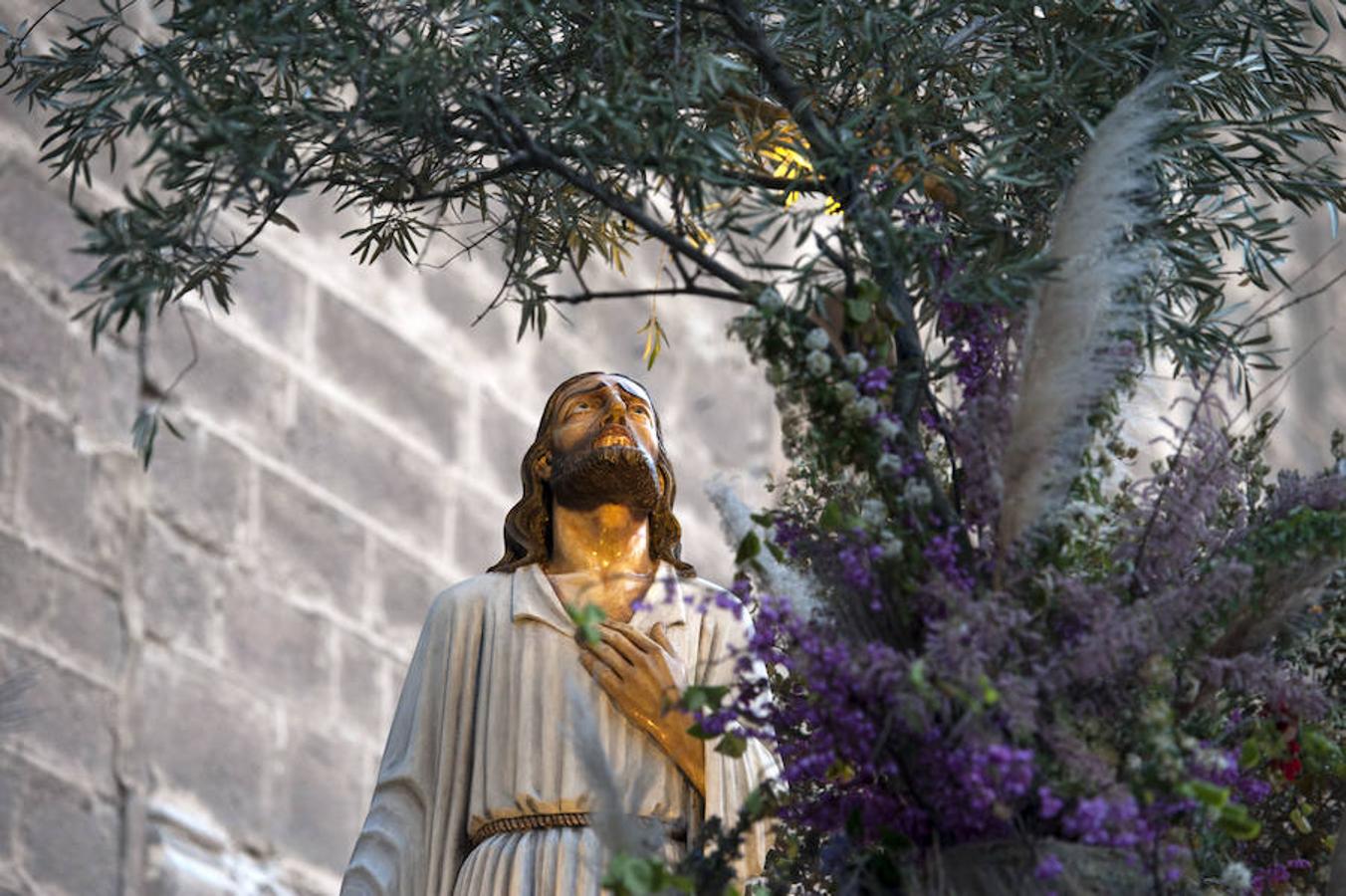 Procesión de Nuestra Señora del Amparo