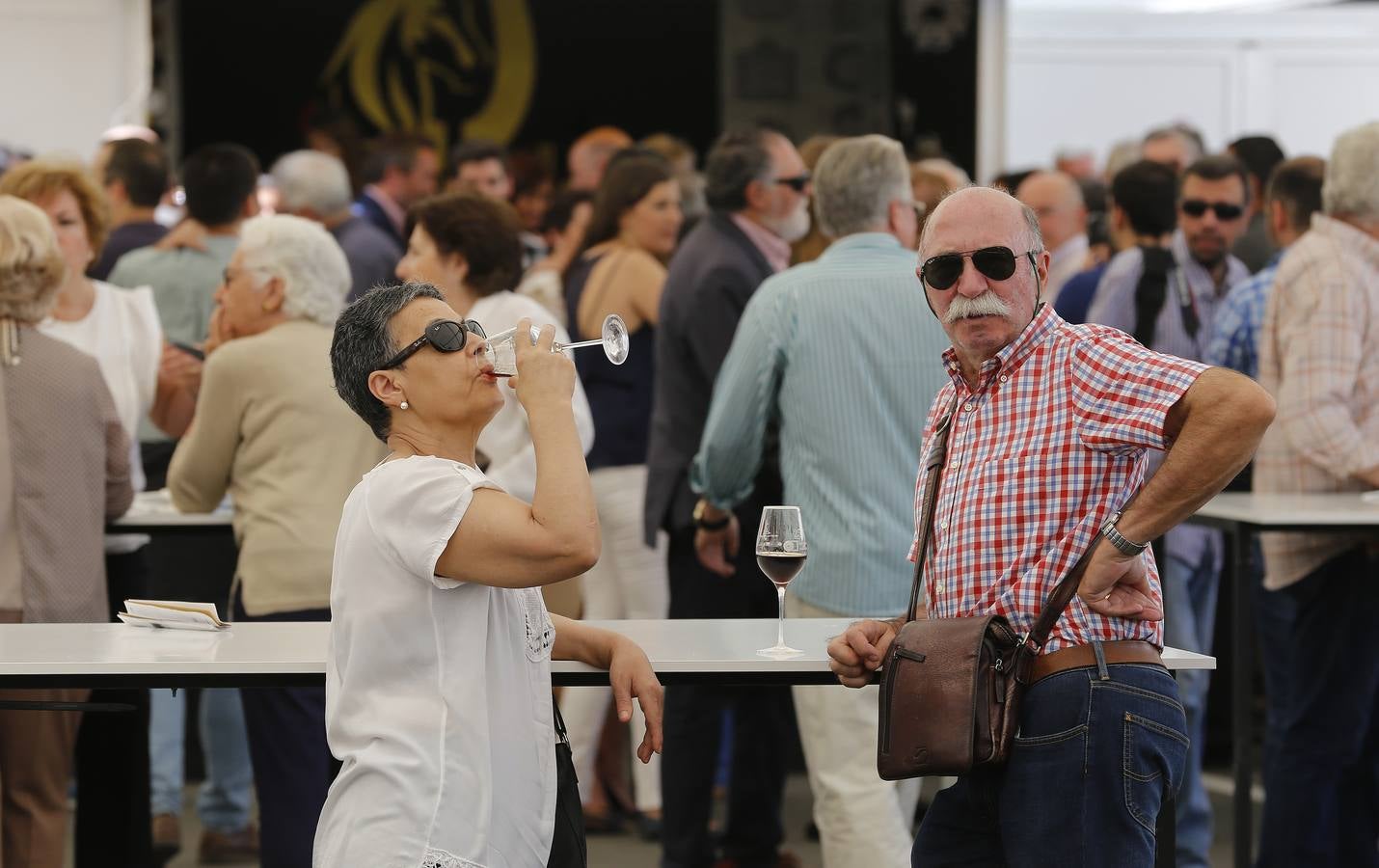 La gran fiesta del Vino cordobés, en imágenes