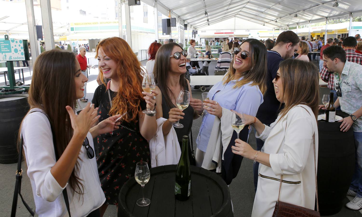 La gran fiesta del Vino cordobés, en imágenes