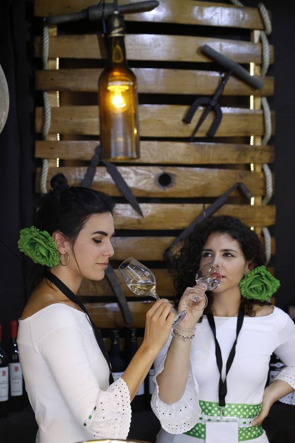 La gran fiesta del Vino cordobés, en imágenes