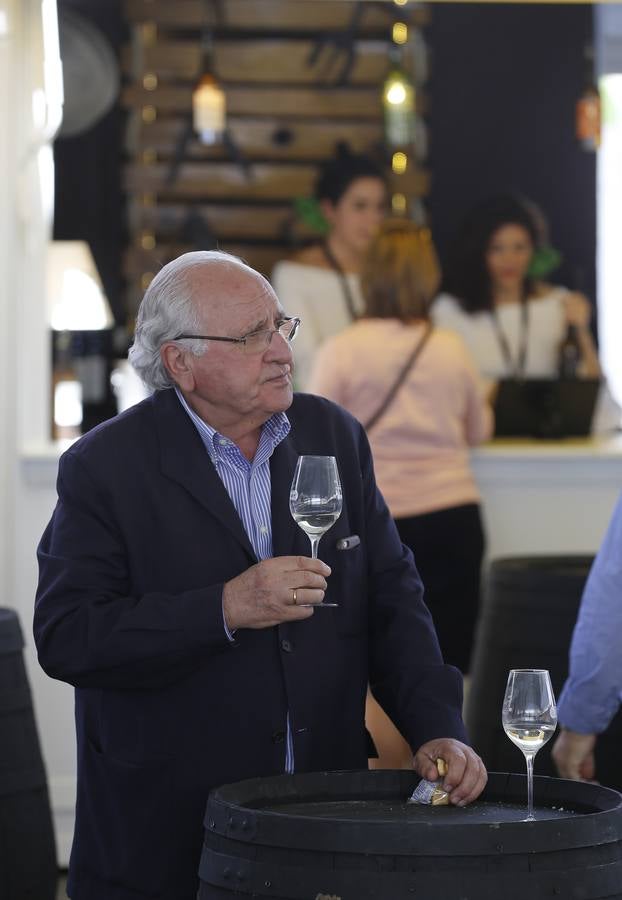 La gran fiesta del Vino cordobés, en imágenes