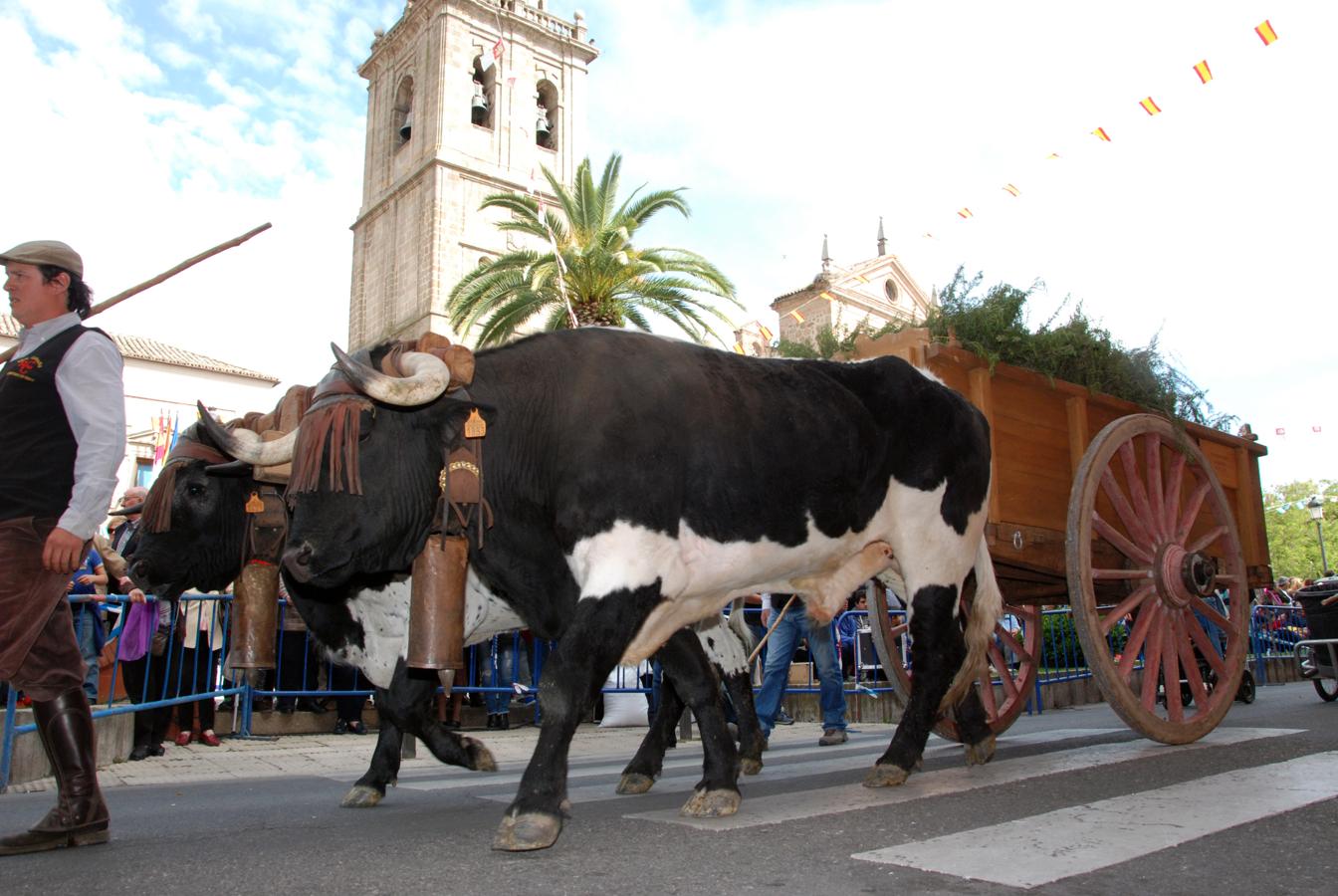 Brillante desfile de Mondas