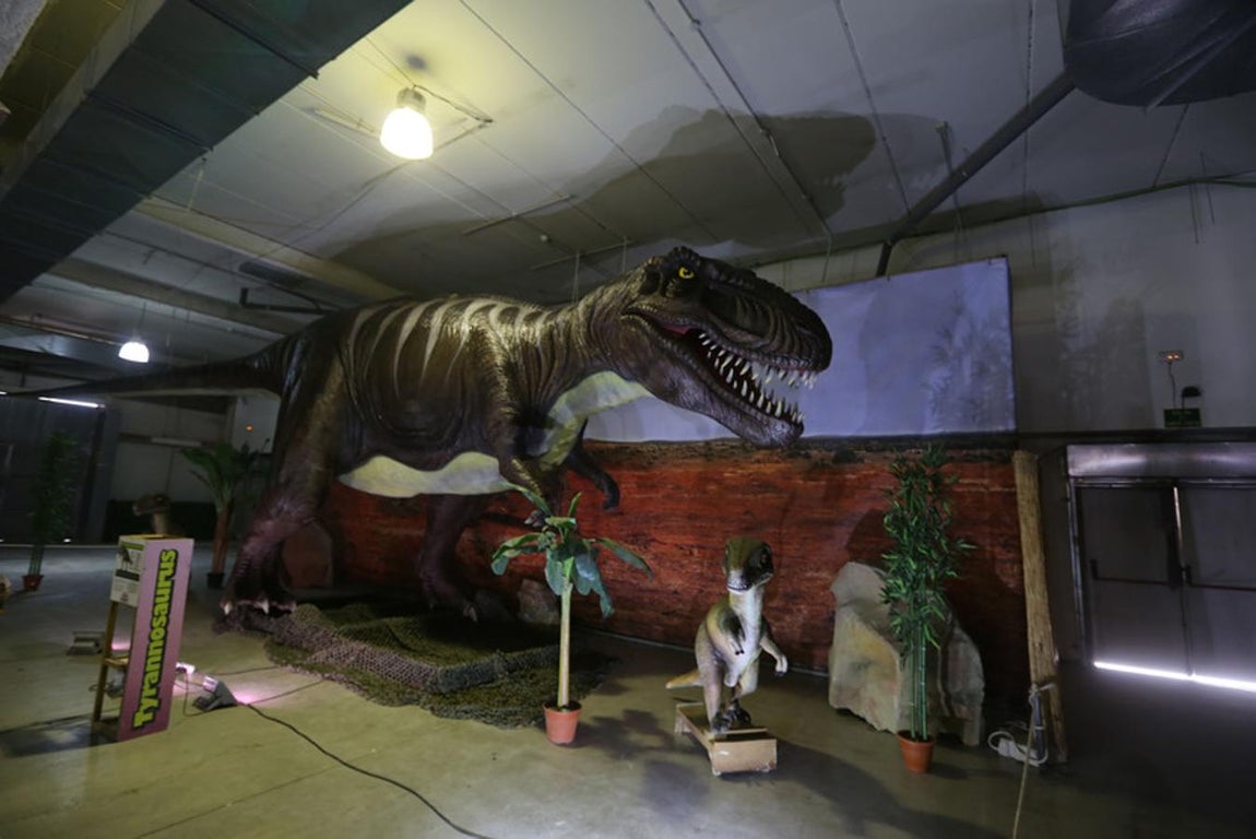 Fotos: Así es Expo Jurásico, la mayor muestra de dinosaurios animatrónicos