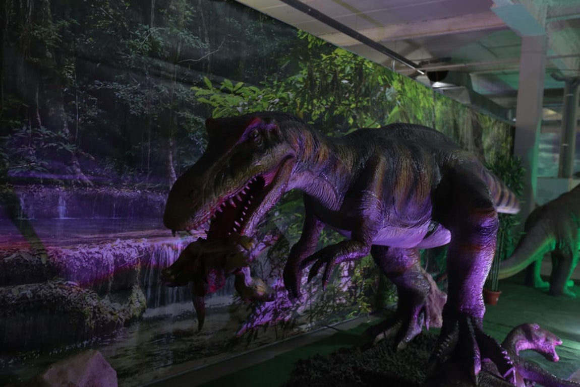 Fotos: Así es Expo Jurásico, la mayor muestra de dinosaurios animatrónicos