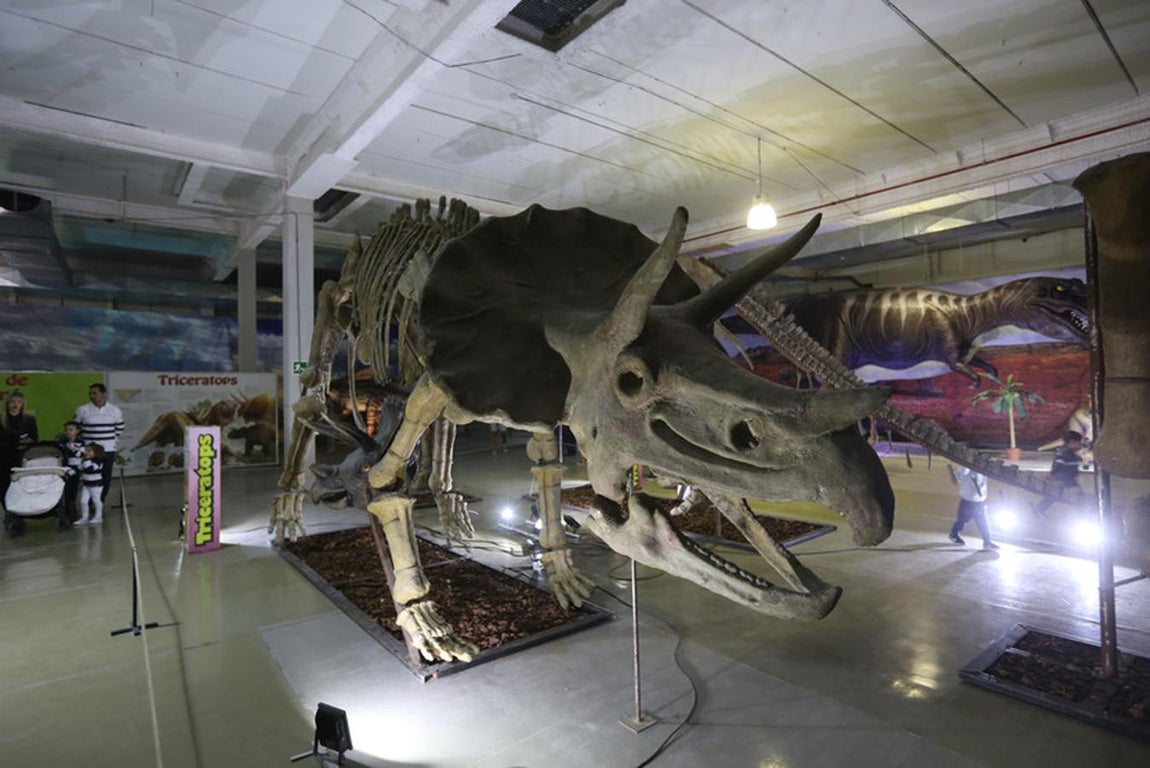 Fotos: Así es Expo Jurásico, la mayor muestra de dinosaurios animatrónicos