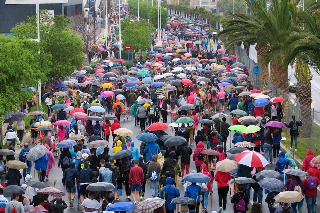 La lluvia marca la romería de la Santa Faz