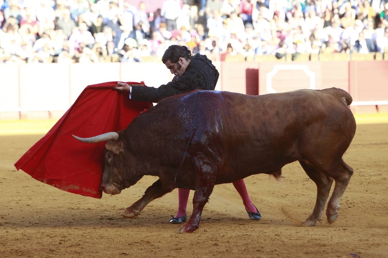 Corrida del martes de Feria en la Maestranza