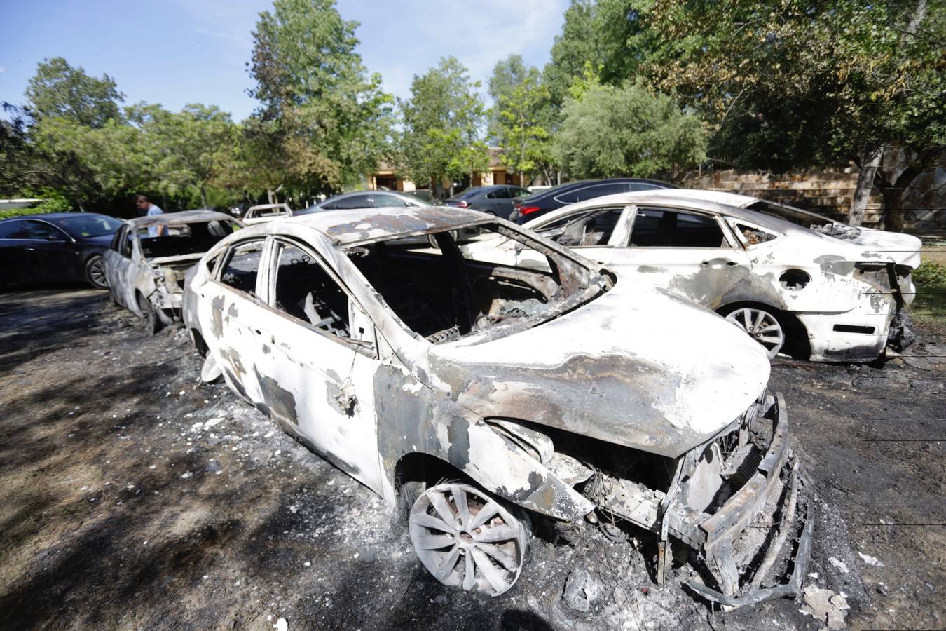 Calcinados nueve vehículos de Cabify que reforzaban el servicio de coches con conductor en la Feria de Abril