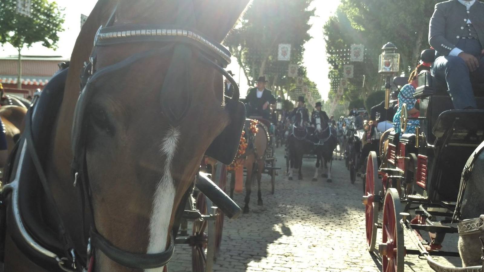 El ecuador de la Feria, según los lectores de ABC