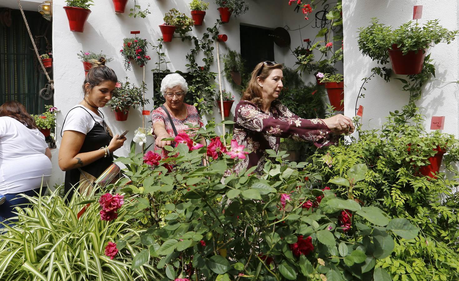 En imágenes, los patios de San Lorenzo en Córdoba