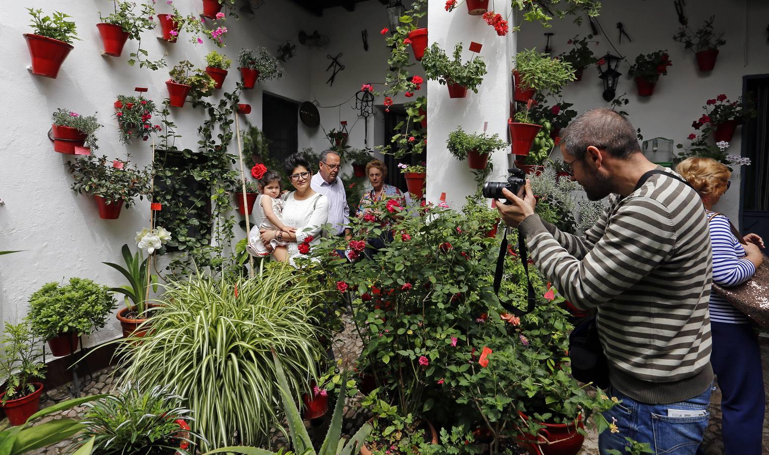 En imágenes, los patios de San Lorenzo en Córdoba