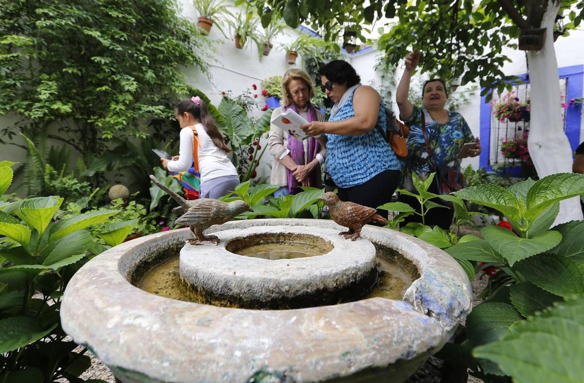En imágenes, los patios de San Lorenzo en Córdoba