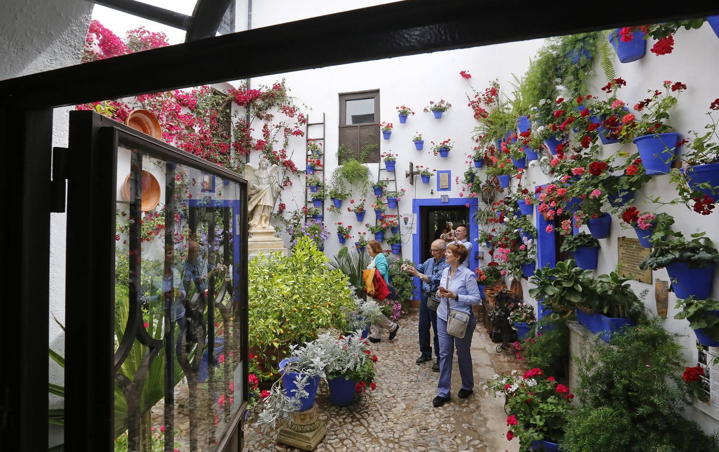 En imágenes, los patios de San Lorenzo en Córdoba