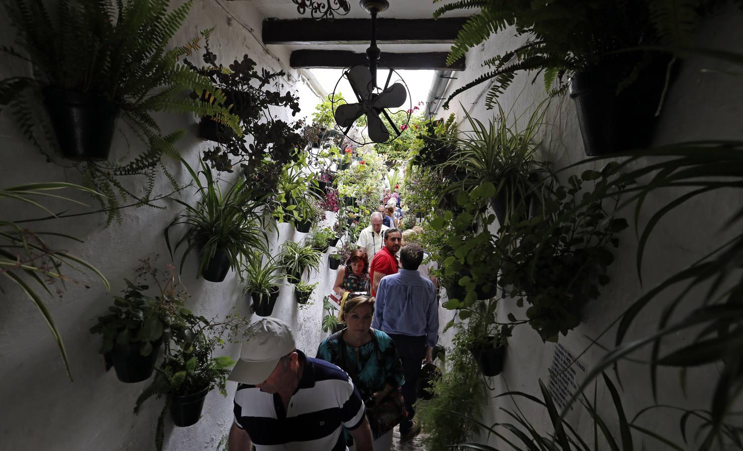 En imágenes, los patios de San Lorenzo en Córdoba