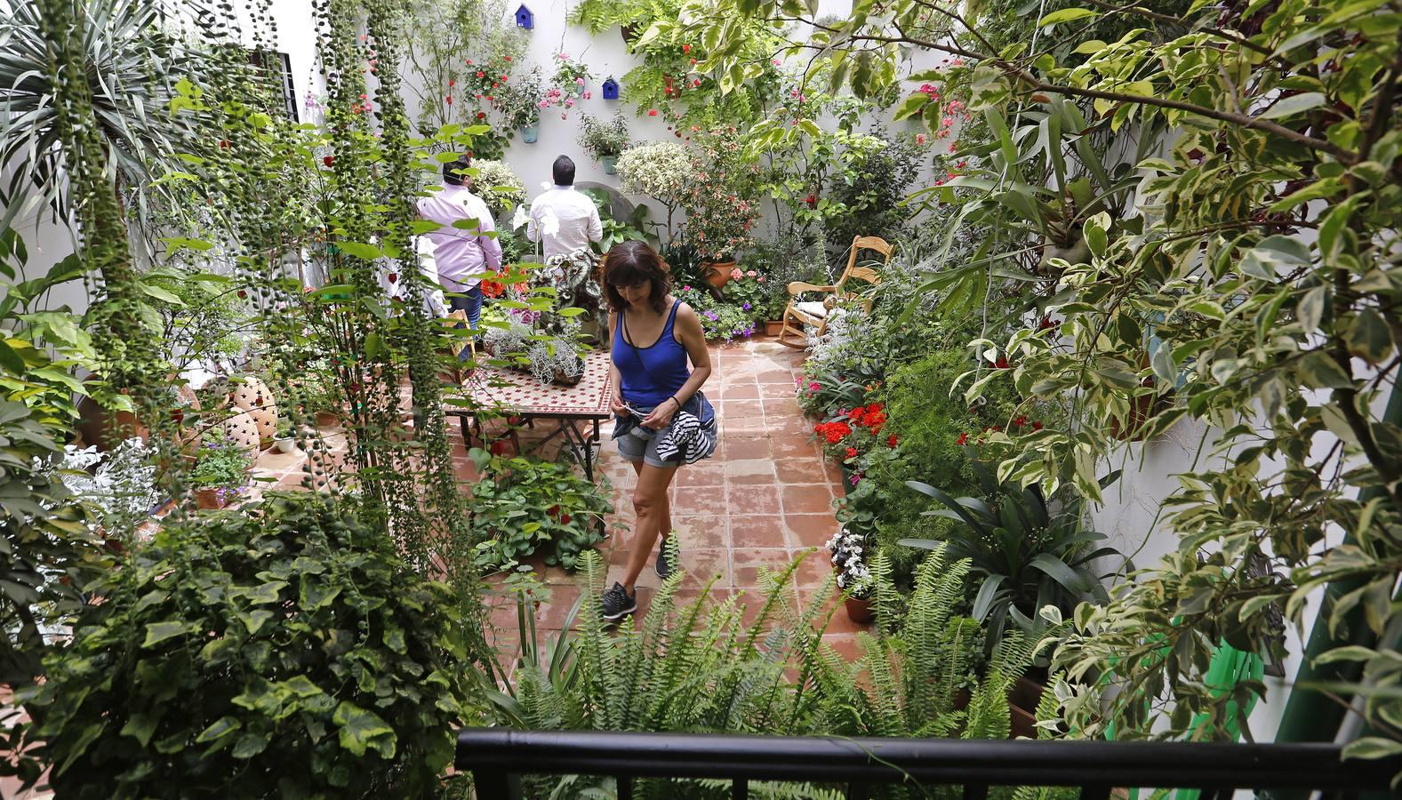 En imágenes, los patios de San Lorenzo en Córdoba