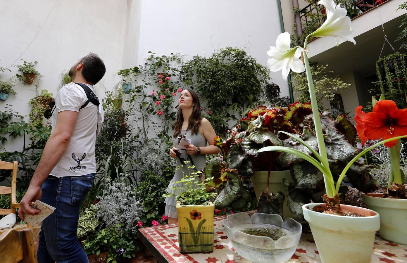 En imágenes, los patios de San Lorenzo en Córdoba