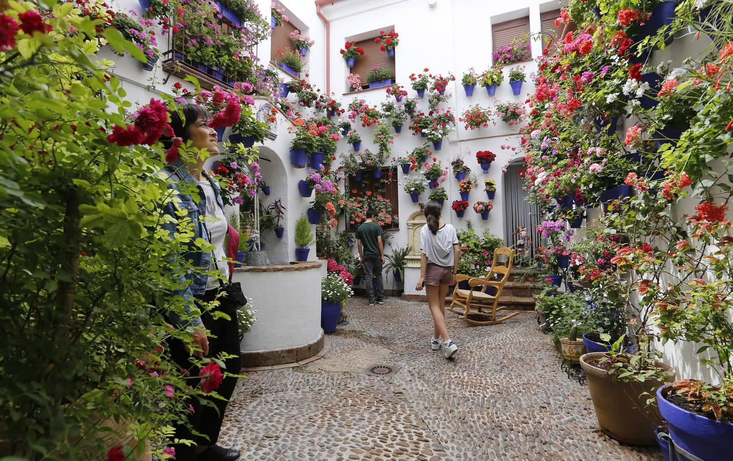 En imágenes, los patios de San Lorenzo en Córdoba