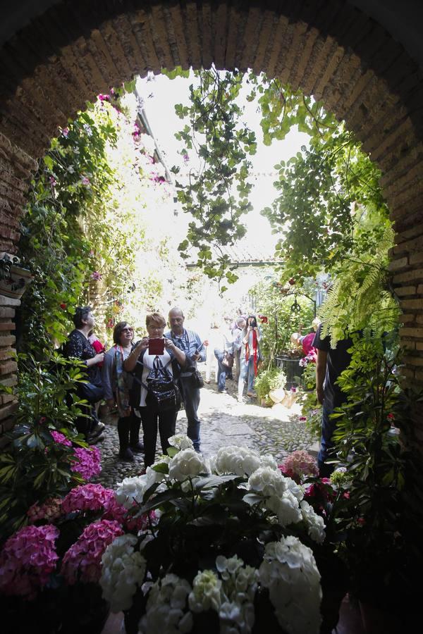 Un sábado de colas en los Patios de Córdoba de 2017