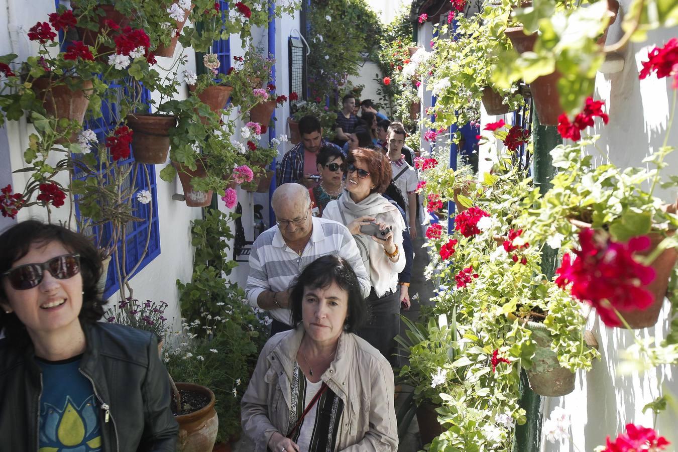 Un sábado de colas en los Patios de Córdoba de 2017