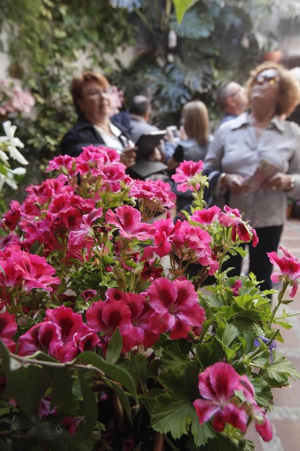 Un sábado de colas en los Patios de Córdoba de 2017