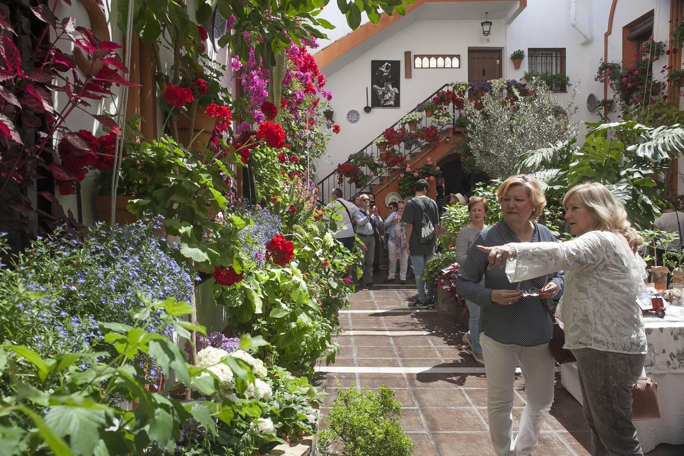 Un domingo de sol y colas en los Patios de Córdoba de 2017