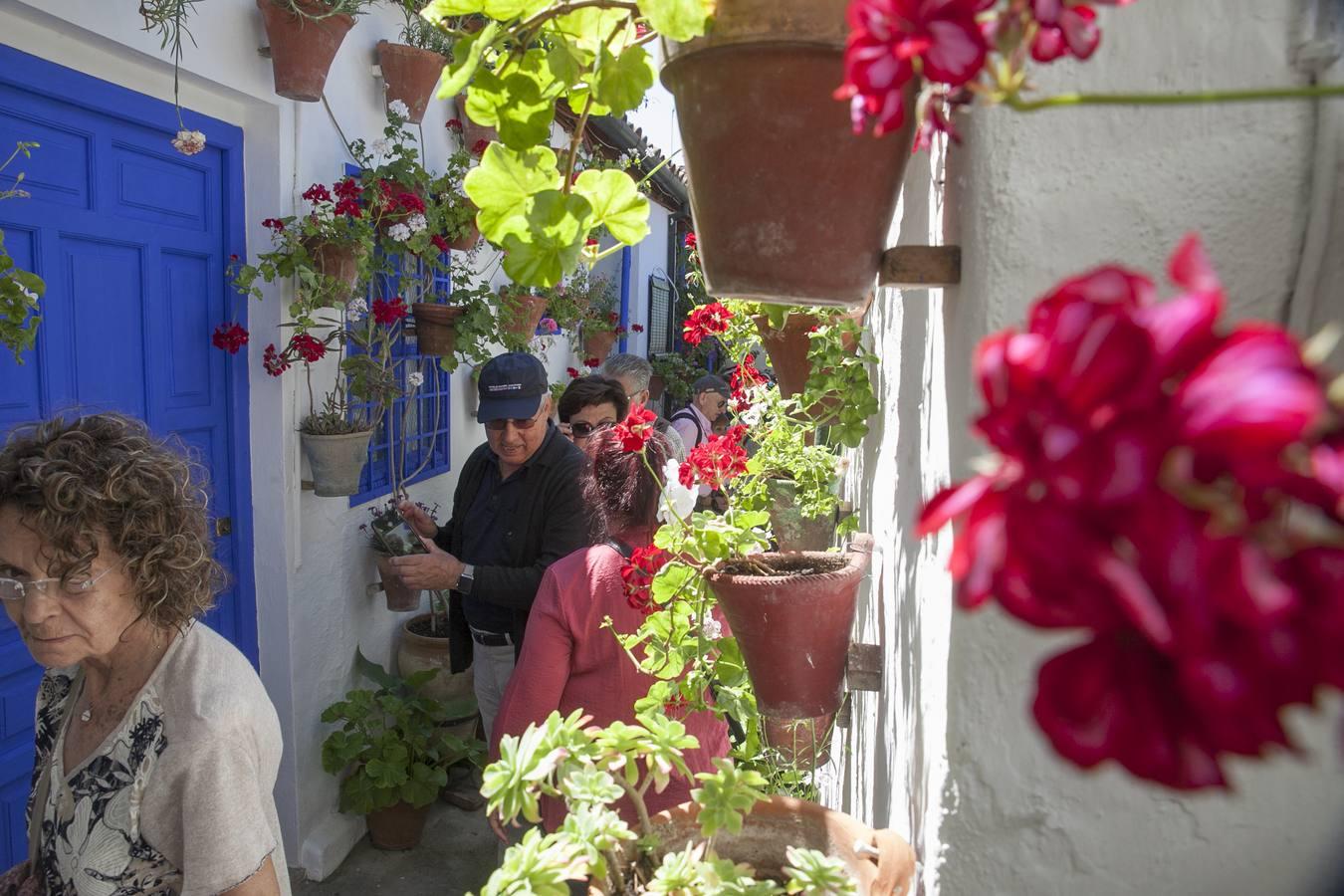 Un domingo de sol y colas en los Patios de Córdoba de 2017