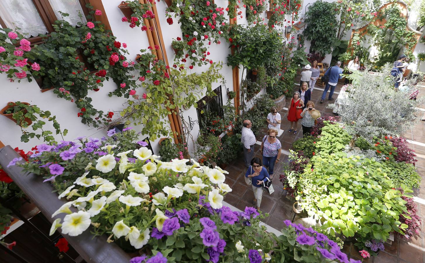 Patios ganadores del Concurso de Córdoba 2017, en imágenes