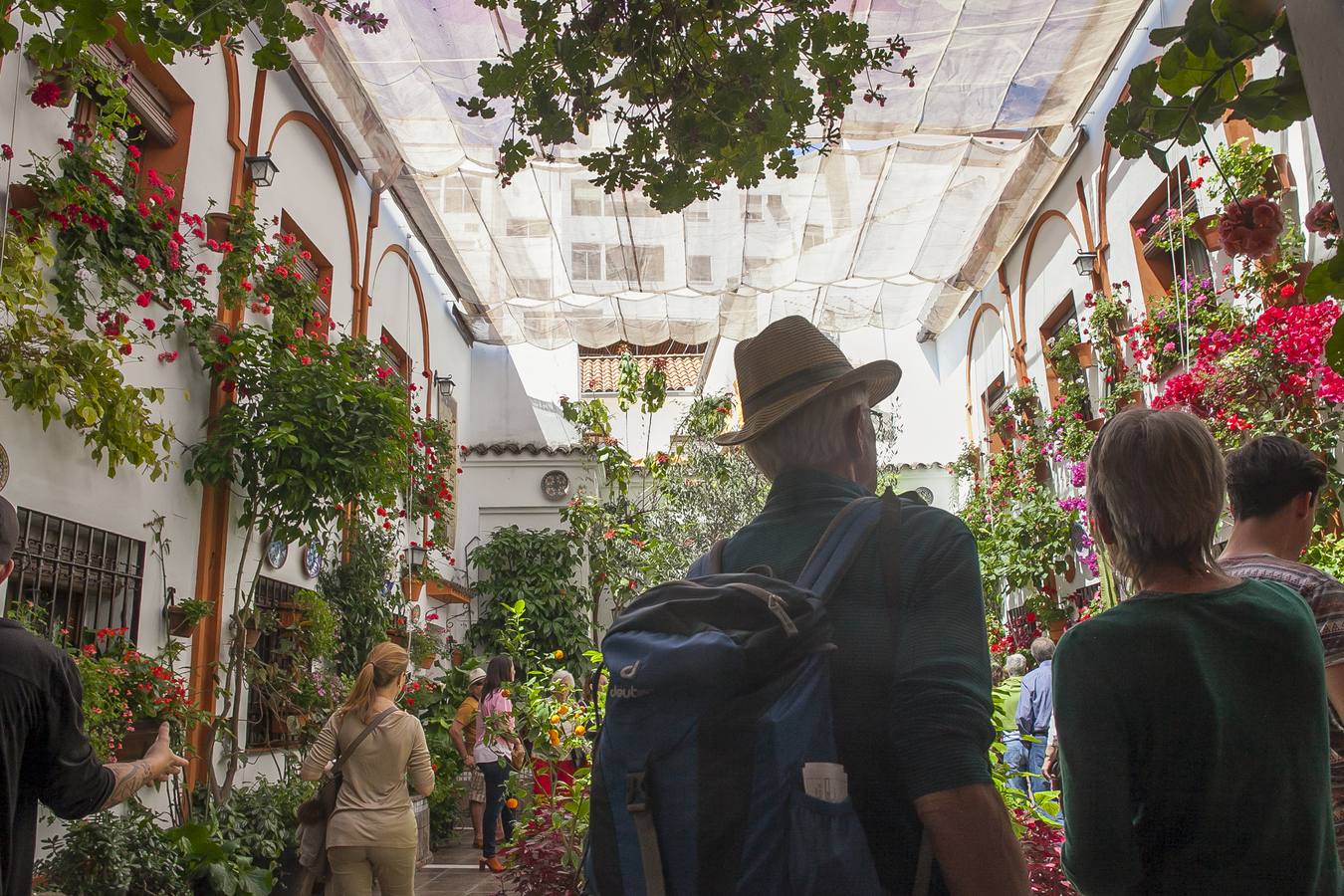 Patios ganadores del Concurso de Córdoba 2017, en imágenes