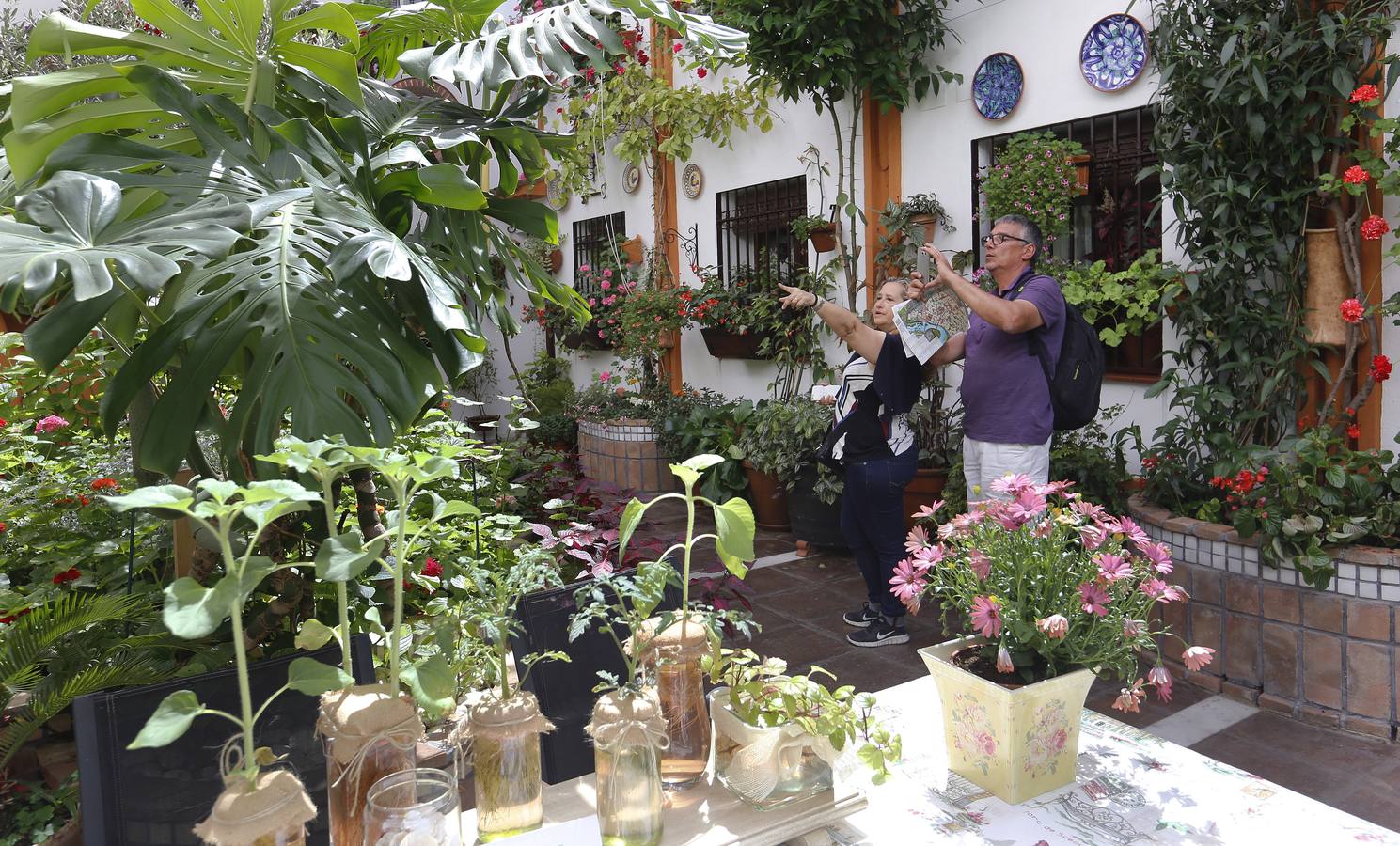 Patios ganadores del Concurso de Córdoba 2017, en imágenes