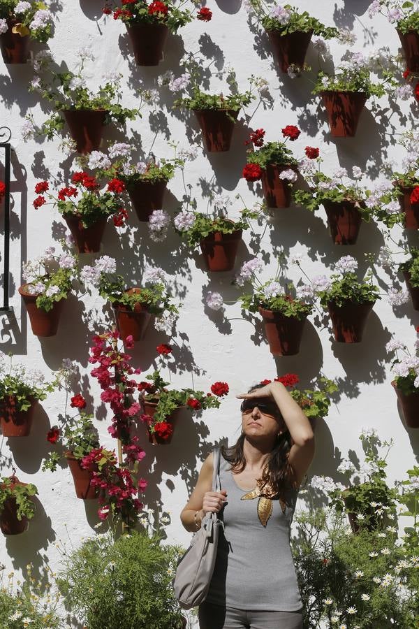 Patios ganadores del Concurso de Córdoba 2017, en imágenes