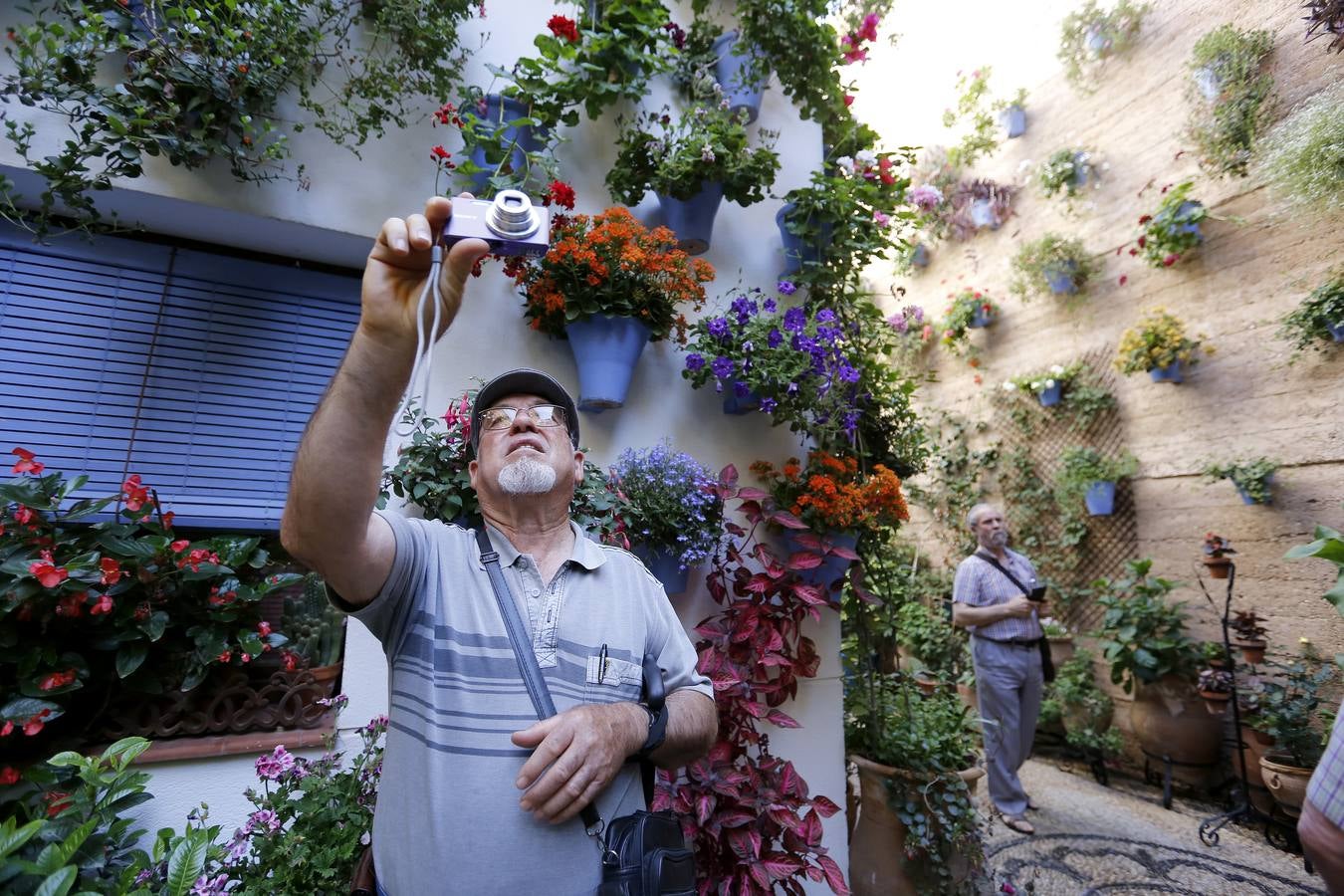 Patios ganadores del Concurso de Córdoba 2017, en imágenes