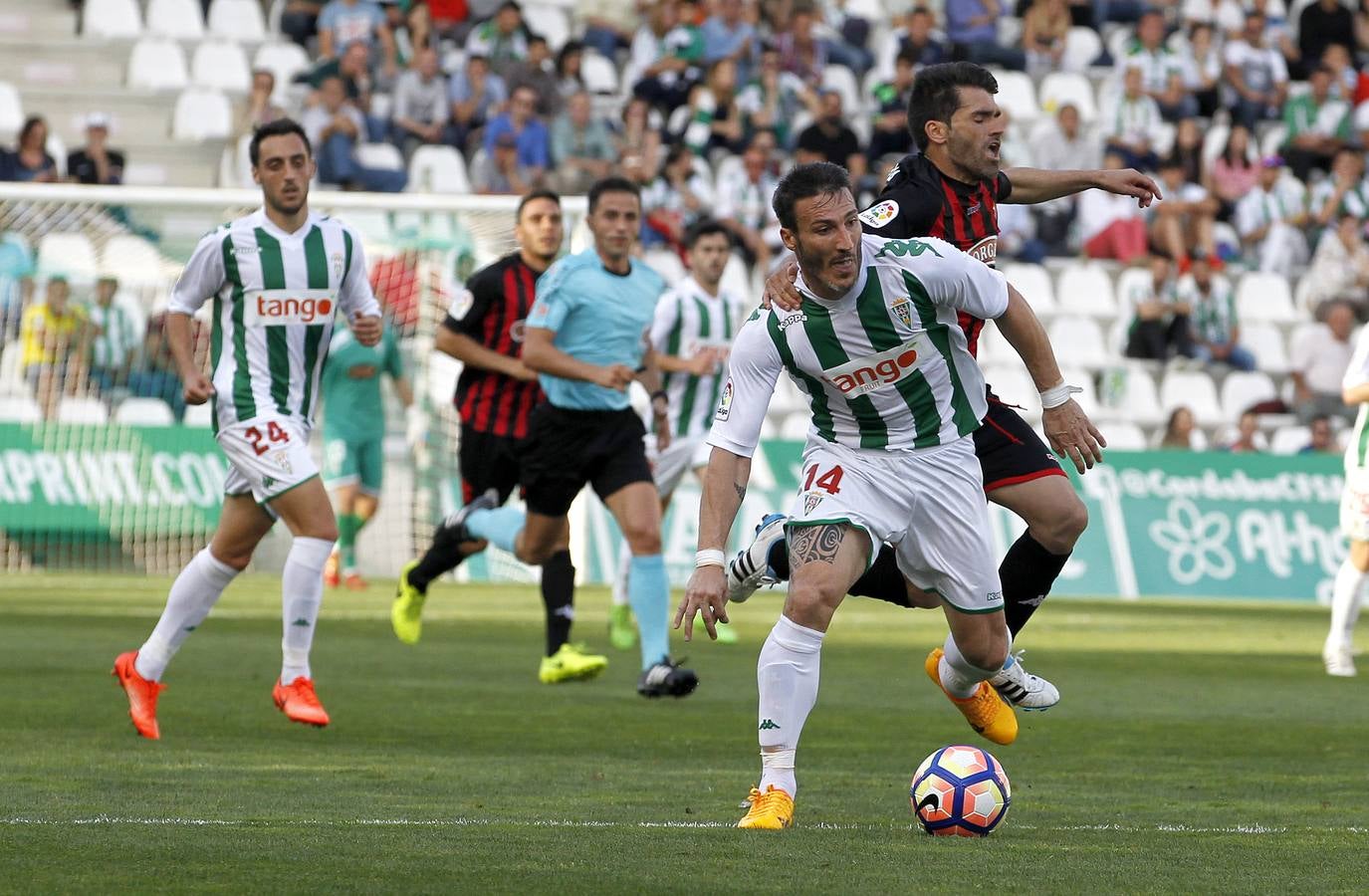 La victoria del Córdoba ante el Reus, en imágenes