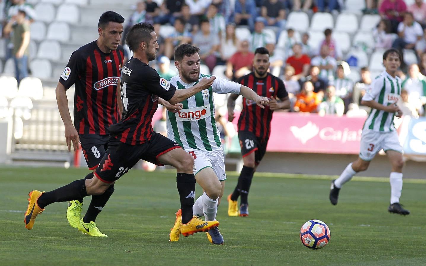 La victoria del Córdoba ante el Reus, en imágenes