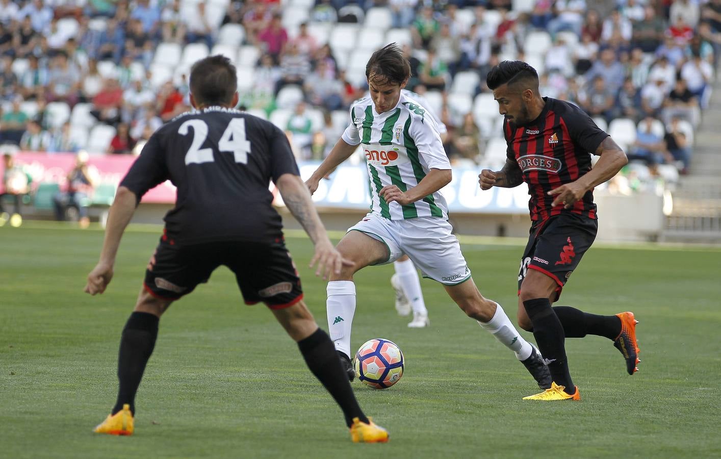 La victoria del Córdoba ante el Reus, en imágenes