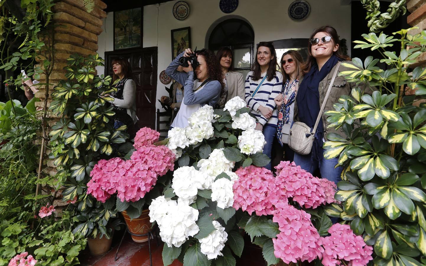 El segundo sábado de Patios, en imágenes