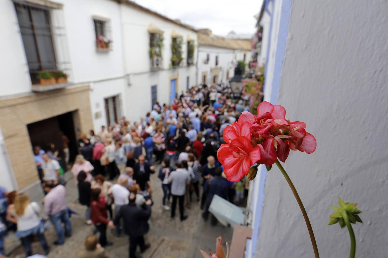 El segundo sábado de Patios, en imágenes