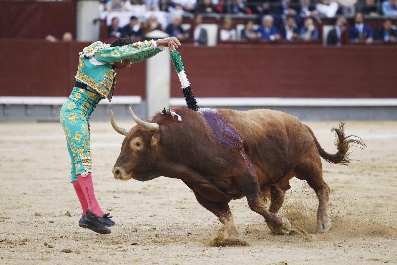 La tarde para el recuerdo de Ferrera en Las Ventas, en imágenes