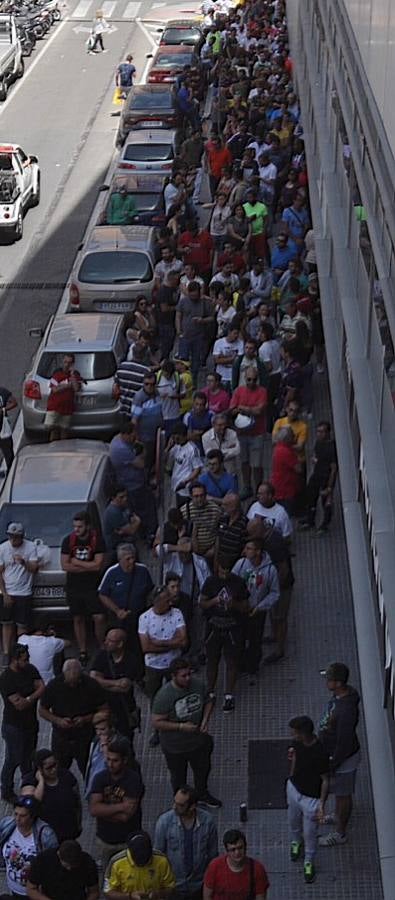 La fiebre amarilla contagiará a Sevilla