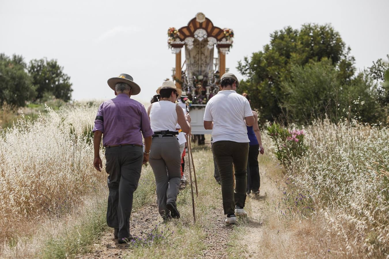 El camino al Rocío de la hermandad de Córdoba, en imágenes