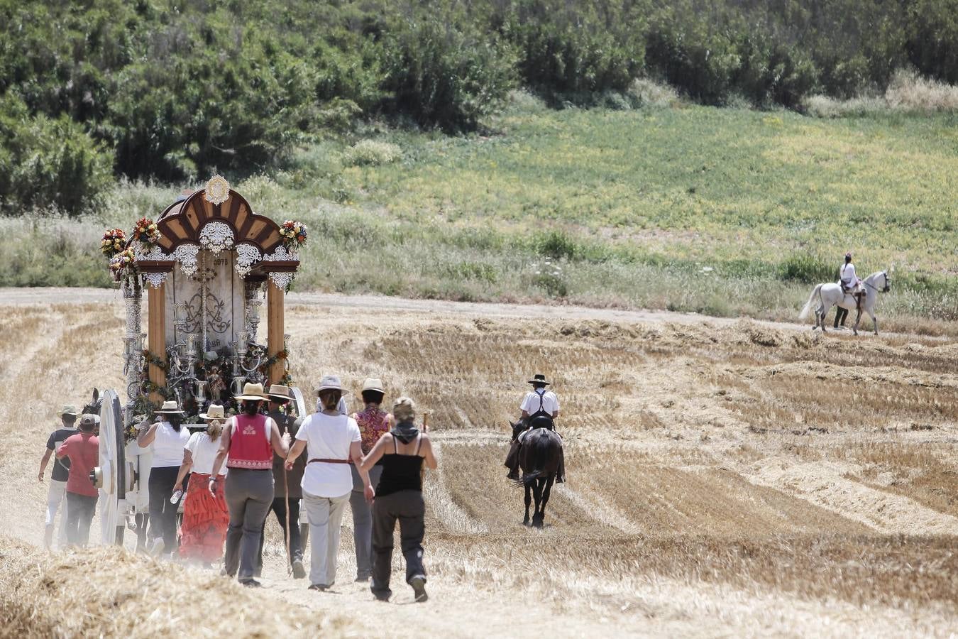 El camino al Rocío de la hermandad de Córdoba, en imágenes