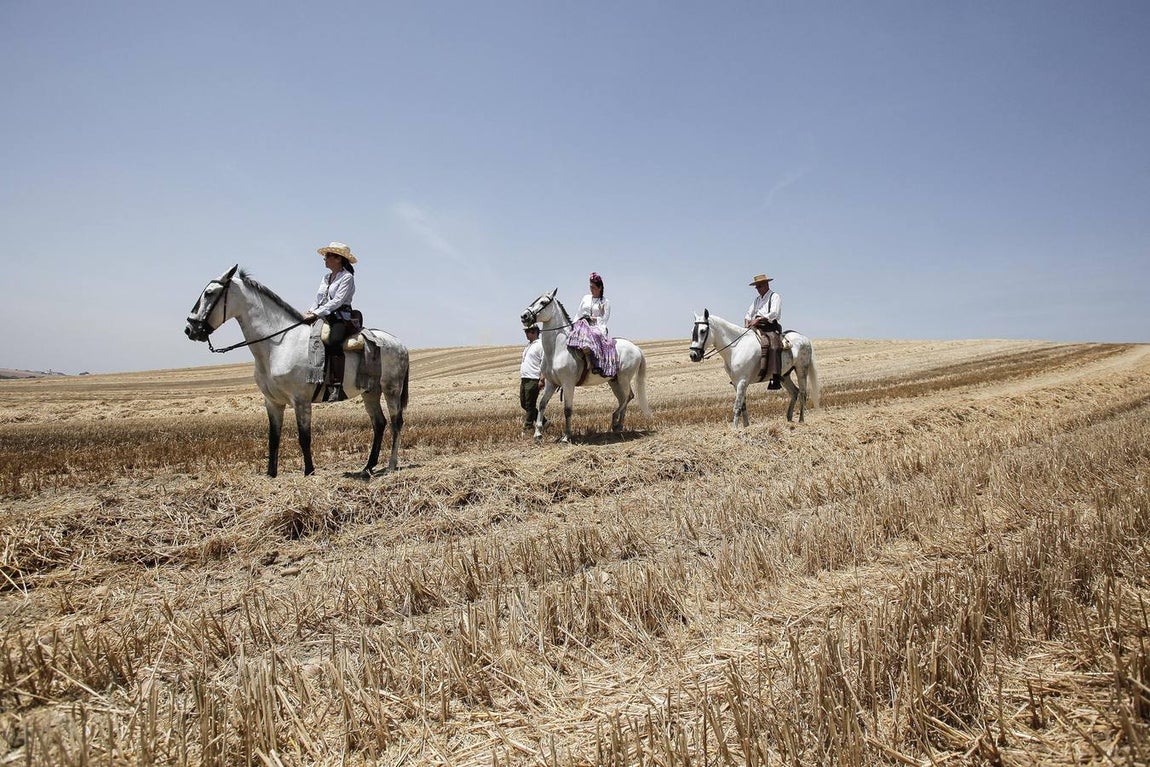 El camino al Rocío de la hermandad de Córdoba, en imágenes