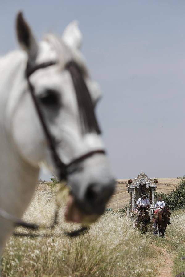 El camino al Rocío de la hermandad de Córdoba, en imágenes