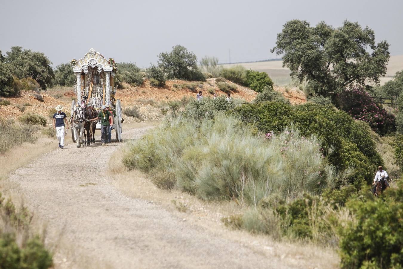 El camino al Rocío de la hermandad de Córdoba, en imágenes