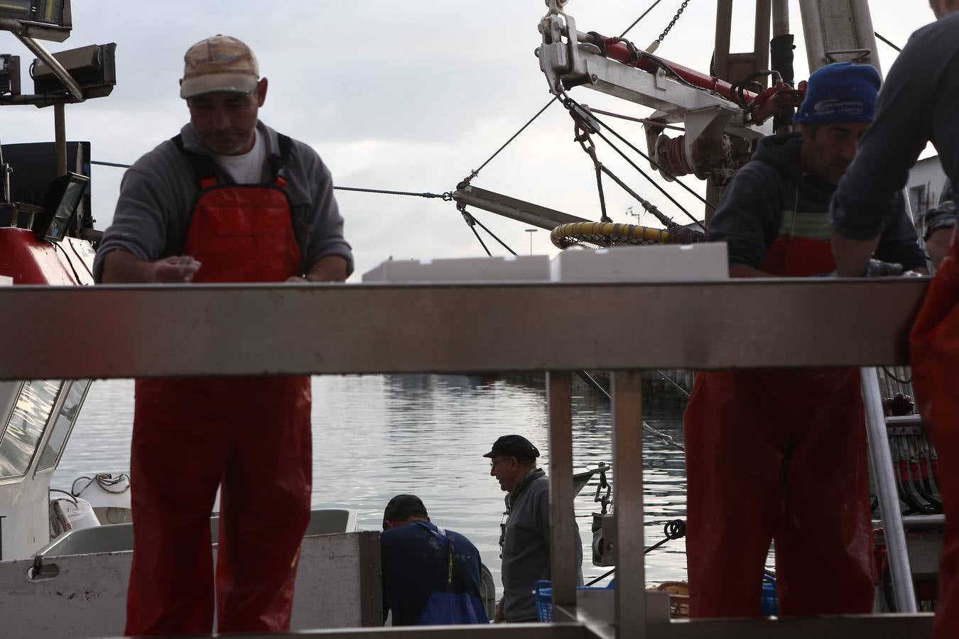 La lonja de Cádiz, en imágenes: descarga y clasificación del pescado en el muelle