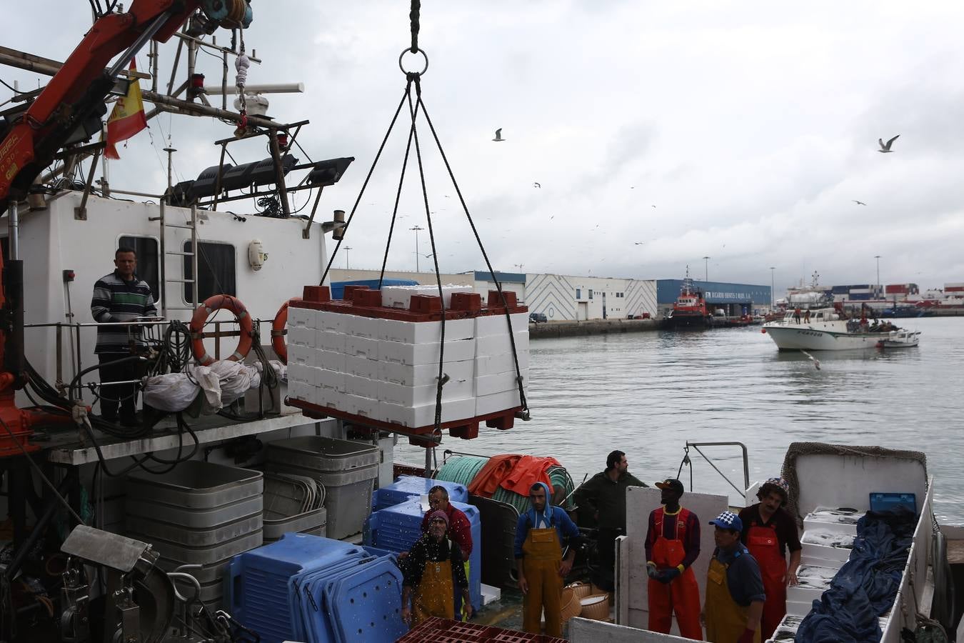 La lonja de Cádiz, en imágenes: descarga y clasificación del pescado en el muelle