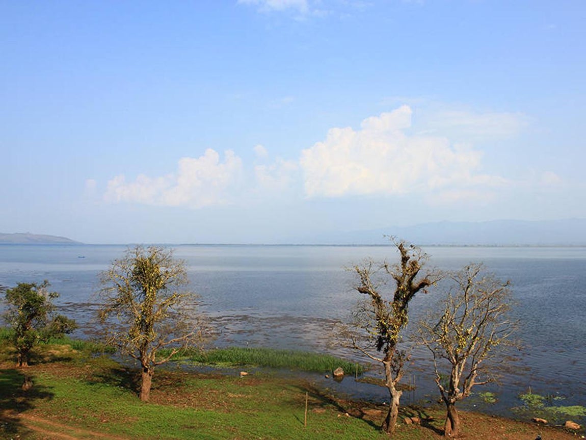 Indawgyi (Myanmar). El Indawgyi es el mayor lago de agua dulce del país. La reserva tiene una superficie de133.715 hectáreas y abarca una gran zona lacustre abierta, zonas de vegetación flotante,un bosque pantanoso y praderas inundables estacionalmente. Las colinas que rodean ellago están cubiertas por frondosos bosques subtropicales húmedos que alberganespecies de aves y de mamíferos de zonas boscosas, como primates. La población localobtiene lo esencial de sus ingresos gracias a las explotaciones agrícolas ribereñas dellago.