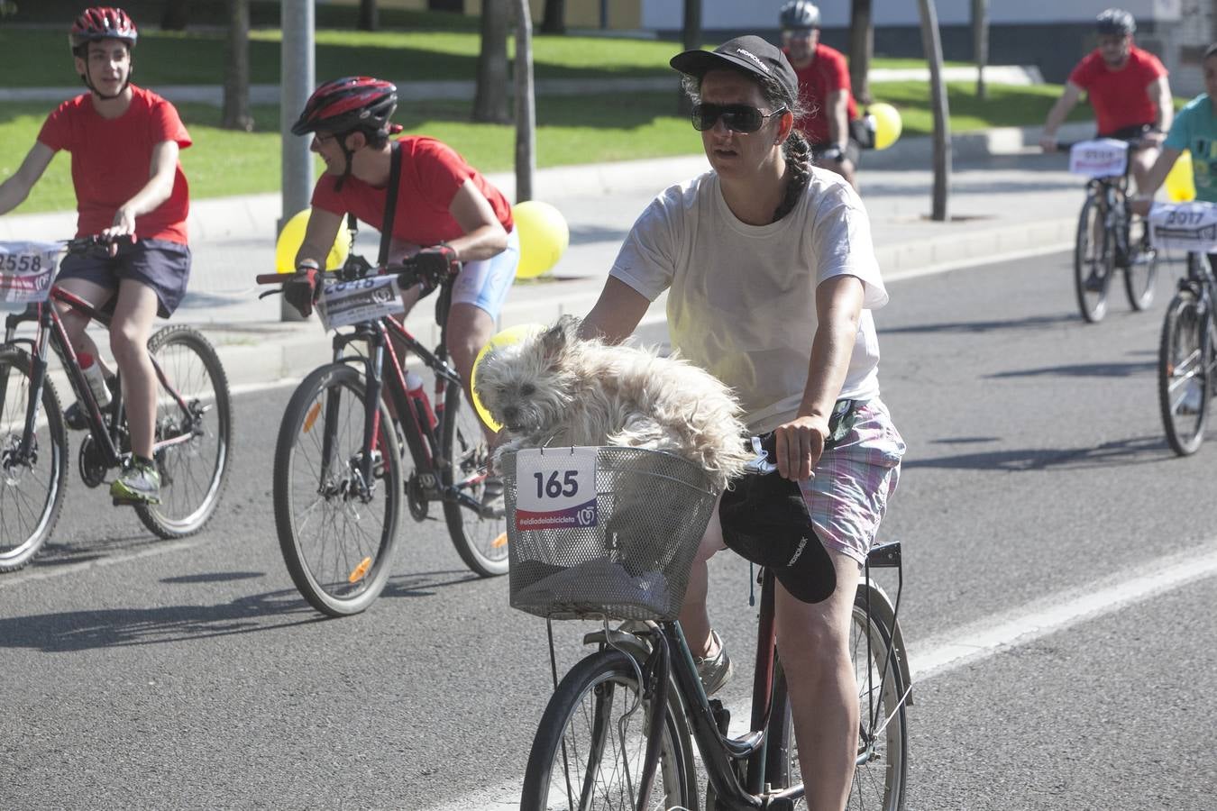 El Día de la Bicicleta de Córdoba, en imágenes