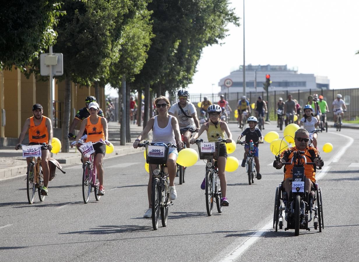 El Día de la Bicicleta de Córdoba, en imágenes