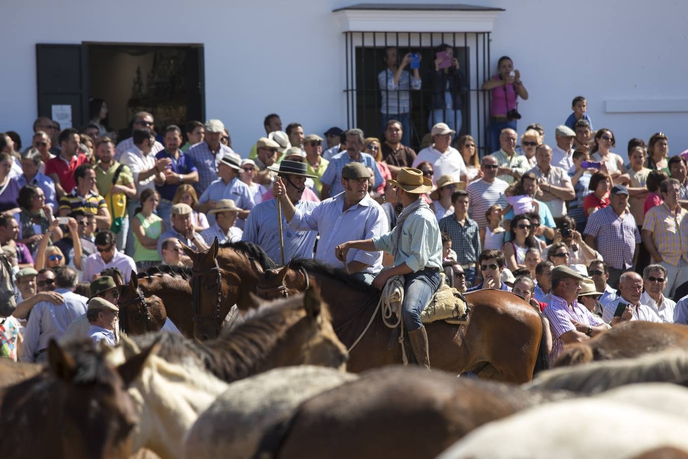 La Saca de las Yeguas en 2014